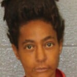 Lesharah Johnson Attempted Breaking And Entering A Building Resist Public Officer