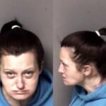 Ashli Lanier Failure To Appear Misdemeanor Lar Removedestdea Ct Compo Possess Methamphetamine Sch Iv Possess Simple Sch Ii Possess Simple