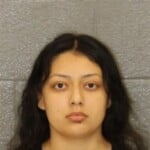 Theodora Oviedo Assault With A Deadly Weapon Misd Crime Of Dom Violence