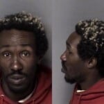 Demetrice Wilson Impede Traffic Sitstandlie Resist Public Officer