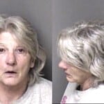 Sharon Bolin Dwlr Not Impaired Rev Insurance No Liability Fictalt Titlereg Cardtag