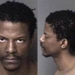 Markey White Habeas Corpus