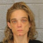 Shannon Leavitt Misdemeanor Larceny