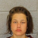 Destiny Ayers Breaking And Entering Larceny