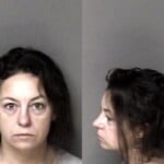 Andrea Johnson Possess Schedule I Controlled Substance Possess Drug Paraphernalia