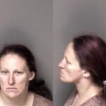 Faith Fisher Litter 500 Lbs