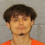 Gerson Diazlemus Larceny