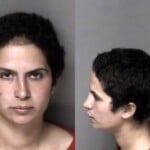 Tania Hernandez Failure To Appear Misdemeanor Cocaine Possess Possess Drug Paraphernalia