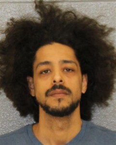 Luis Avila - Discharging Weapon on Occupied Property - Assault by ...