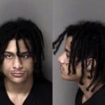 Devin Greenway Maintain Vehicledwellingplace Cont Subst Selldel Synth Cannabinoid Firearm Carry Concealed Fictalt Titlereg Cardtag Weapon Possess Mass Destruction