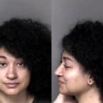 Denay Wilson Misd Crime Of Dom Violence