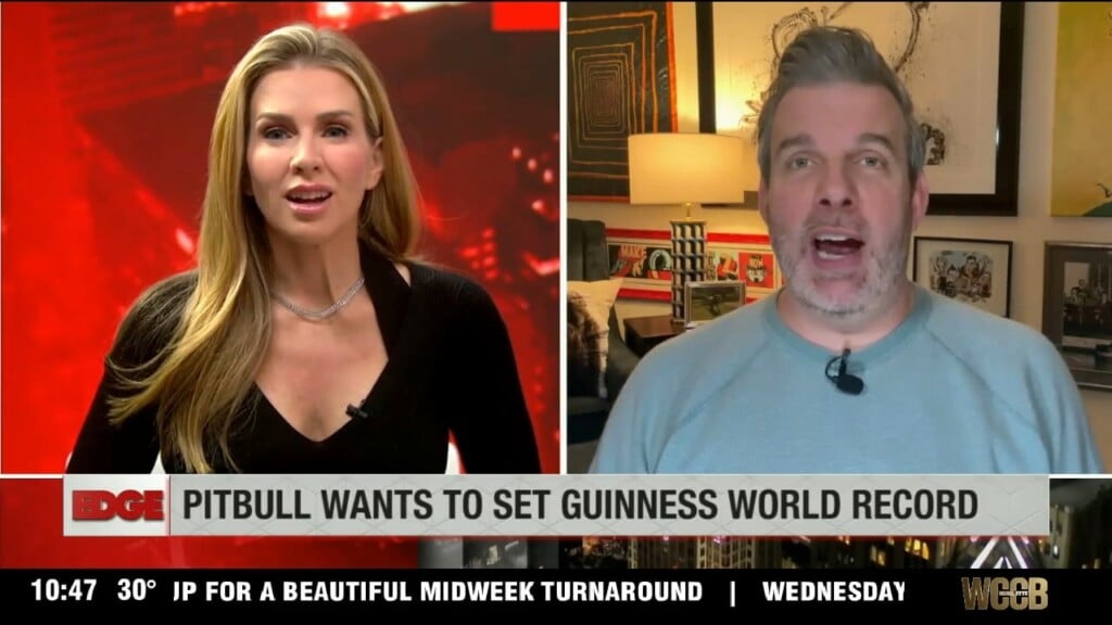 Pit Bull Bald Cap Record