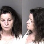 Lisa Kannenburg Fleeelude Arrest Motor Vehicle Dwi Reckless Driving To Endanger Fail Maintain Lane Control Speed Slow Impede Traffic