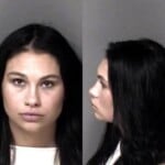 Shelby Chapman Spooner Misd Crime Of Dom Violence