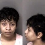 Ananda Pinkney Misd Crime Of Dom Violence