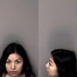 Angelica Apolinarjulian Trespass Domestic Criminal