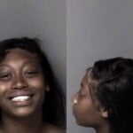 Brooklyn Adams Failure To Appear Resist Public Officer