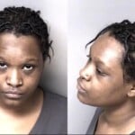 Janisha Brown Resist Public Officer Dwlr Not Impaired Rev Fictitious Info To Officer Fictalt Titlereg Cardtag Insurance Operate Veh No Liability License Fail Exhibitsurrender