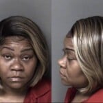 Sandra Mcelhaney Awdwisi