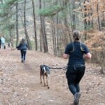 Dog Days Of Winter 5k Jog 1 Mile Walk