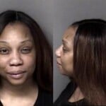 Princess Reid Tamper Vehicle