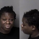 Lauren Johnson Habitual Larceny Resist Public Officer Extraditionfugitive Other State