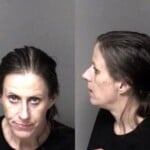 Tracy Lawing Possess Drug Paraphernalia Sch Ii Possess Simple