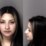 Delmys Ocha Misd Crime Of Dom Violence