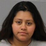 Ingri Delfin False Pretense