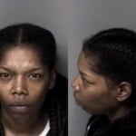 Danielle Lindsay Failure To Appear Misdemeanor Sch Vi Possess