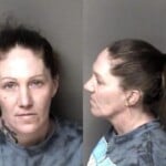 Deana Wilson Cocaine Traffick Maintain Vehicledwellingplace Cont Subst Traffic Methamphetamine