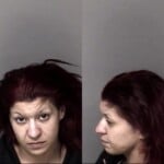 Tess Fonseca Interfere Elect Monitor Dev