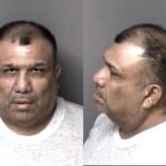 Daniel Mejiavanegas Habeas Corpus