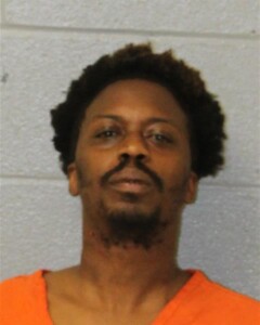 Marquise Young Carrying Concealed Weaponresist Public Officer Flee Elude Arrest With Motor Vehicle