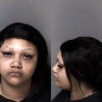 Vivica Barringer Failure To Appear Carry Concealed Weapon