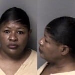 Wendy Reddish Larceny Misdemeanor Possess Drug Paraphernalia Shopliftingconceal Goods