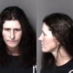 Stephanie Bostic Possess Stolen Motor Vehicle Dwlr Not Impaired Rev