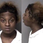 Raishell Davis Sch Ii Possess Possess Drug Paraphernalia