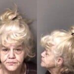 Cynthia Hamilton Failure To Appear Felony