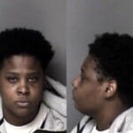 Latoyola Alexander Misd Crime Of Dom Violence