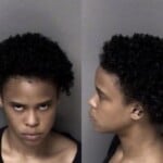 Ana Dyer Resist Public Officer Trespass 2nd Degree