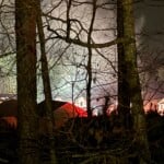 79377020815 295633f9 1d98 4d20 8349 Fb94028aa456