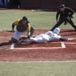 Wingate Vs Findlay Bb