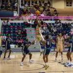 Wingate Vs Newberry Mbb