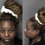 Courtney Truesdale Simple Assault