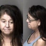 Twila Ledbetter Dwi Dwlr Impaired Hitrun Leave Scene Property Damage Registration Plate Driveallow While Not Display Insurance No Liability Reckless Driving Wanton Disregard Tires Unsafe