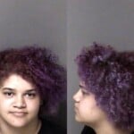 Lindsay Houser Simple Assault