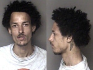 Datrixian Seigle Probation Violation Fleeelude Arrest Motor Vehicle Dwlr Not Impaired Rev Reckless Driving Wanton Disregard