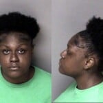 Jamia Adamscurrence Hitrun Leave Scene Property Damage License No Operators