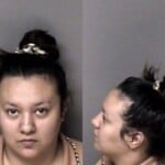 Cynthia Meija Guerra Failure To Appear Misdemeanor